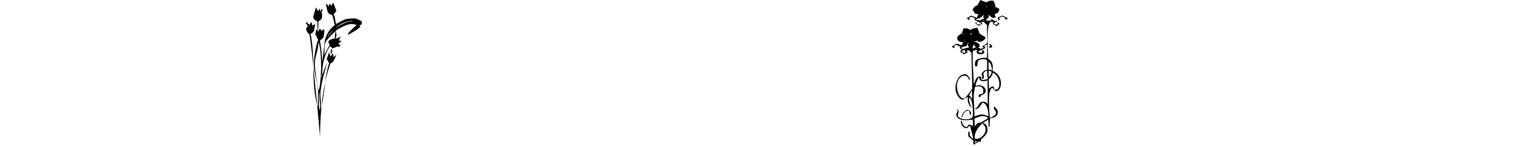 Шрифт KR Classic Fleur 2