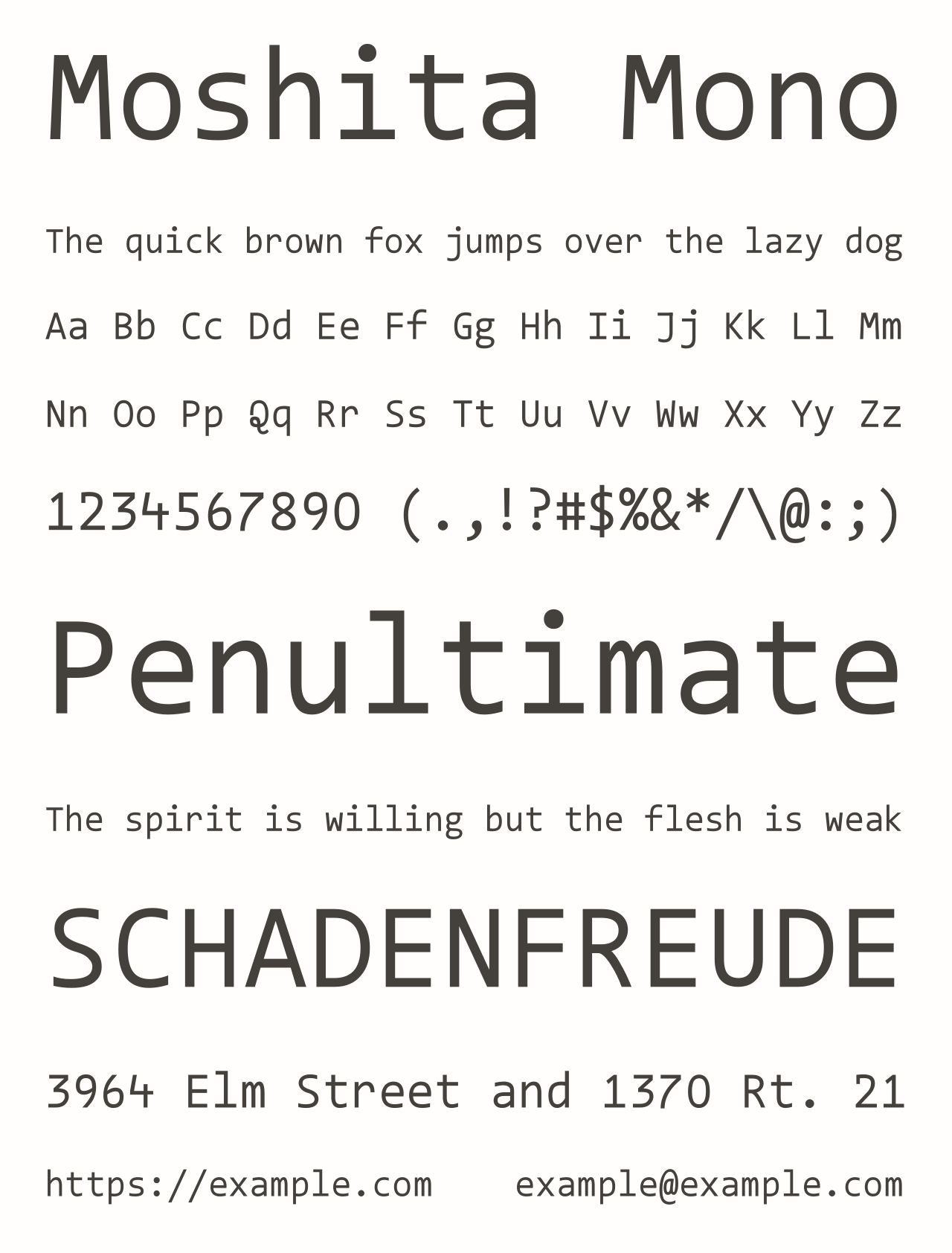 Шрифт Moshita Mono